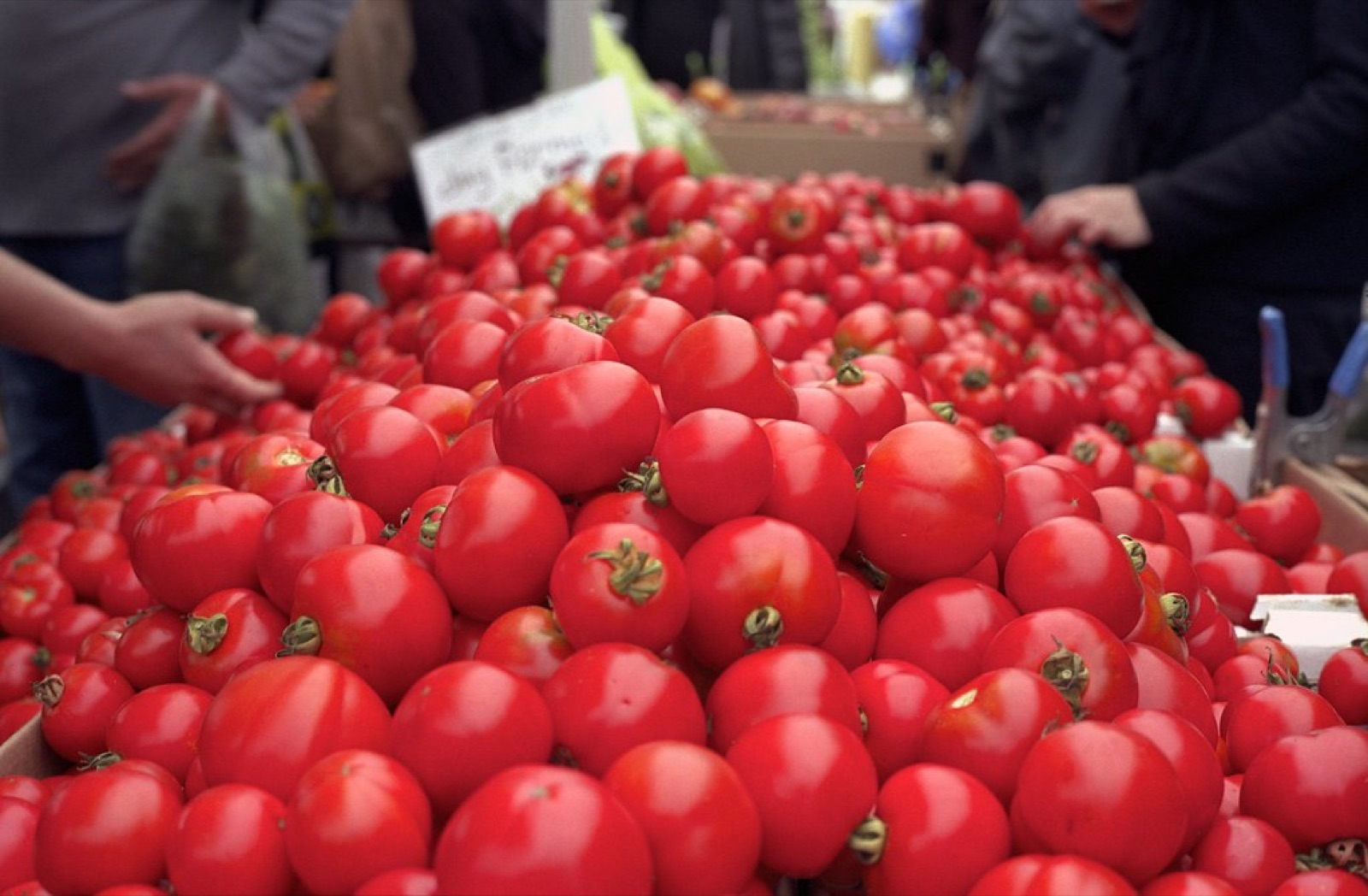Alemany Farmers Market