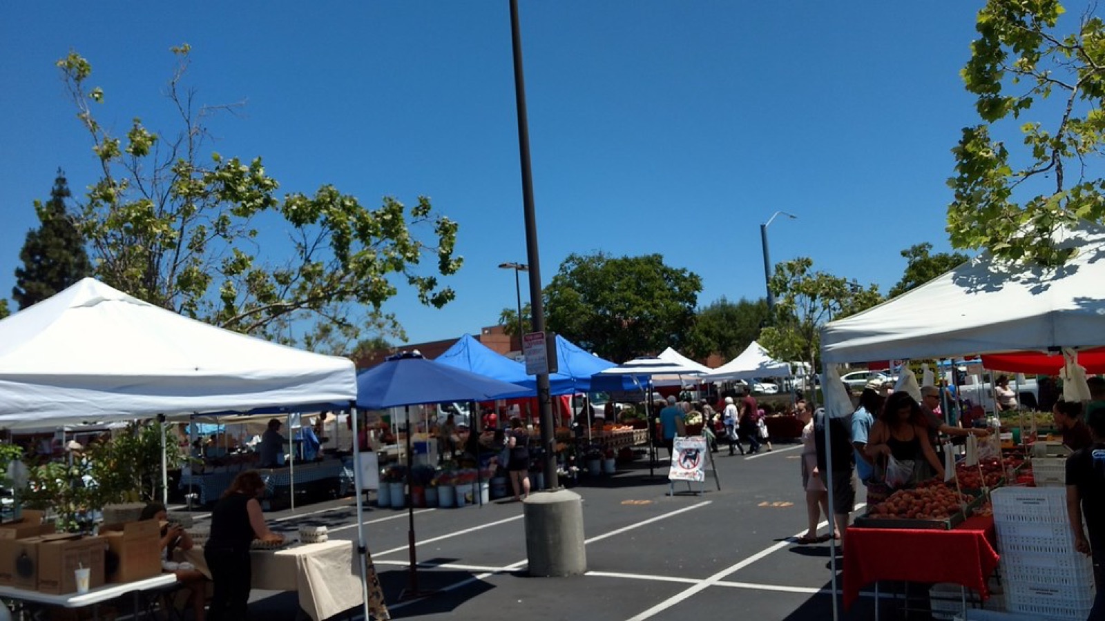Castro Valley Farmers' Market
